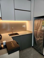 Normanton Park (D5), Apartment #417163471